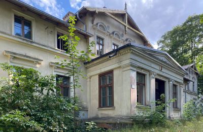 Castle for sale Stradzewo, Pałac w Stradzewie, West Pomeranian Voivodeship:  Entrance