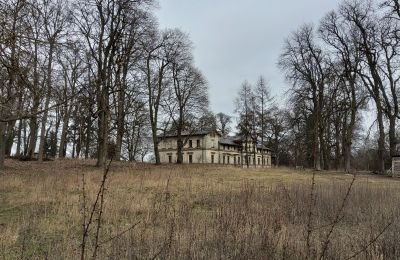 Castle for sale Stradzewo, Pałac w Stradzewie, West Pomerania, Palace Garden