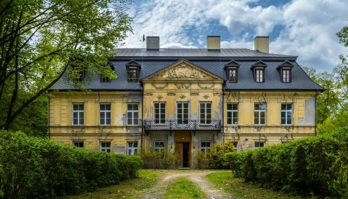 Castle Nakło 2