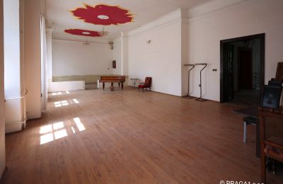 Castle for sale Opava, Moravskoslezský kraj:  Ballroom