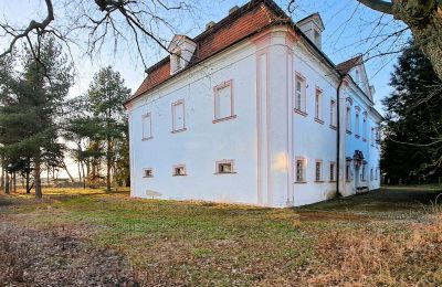 Castle for sale Opava, Moravskoslezský kraj:  Side view