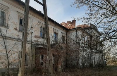 Endangered monuments in Poland: The palace in Sobieszyn, Lublin, Image 9