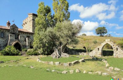 Medieval Castle for sale 06059 Todi, Umbria:  