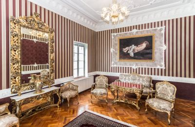 Castle for sale Szombathely, Vas County:  