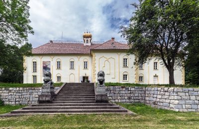 Castle for sale Szombathely, Vas County, Back view