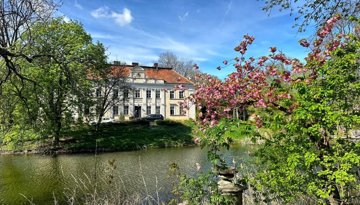 Castle for sale Gola, Greater Poland