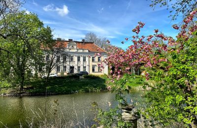 Castle for sale Gola, Greater Poland, Image 2/42