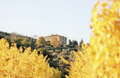 Historic villa for sale 06063 Magione, Umbria, Image 16/18