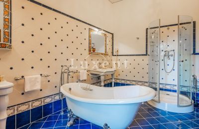 Medieval Castle for sale Třebotov, Třebotov tvrz, Středočeský kraj, Image 13/36