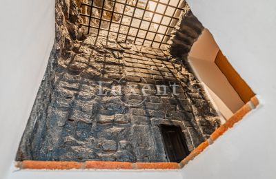 Medieval Castle for sale Třebotov, Třebotov tvrz, Středočeský kraj, Image 22/36