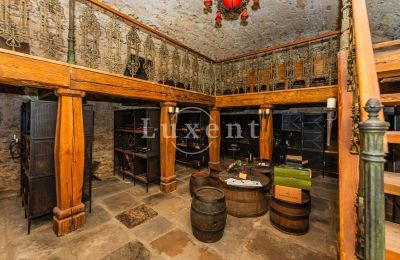 Medieval Castle for sale Třebotov, Třebotov tvrz, Středočeský kraj:  