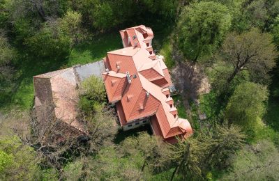 Castle for sale Skoraszewice, Skoraszewice  16, Greater Poland Voivodeship:  