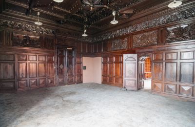 Castle for sale Bożków, Palac Wilelma von Magnis 1, Lower Silesia, Hunting room