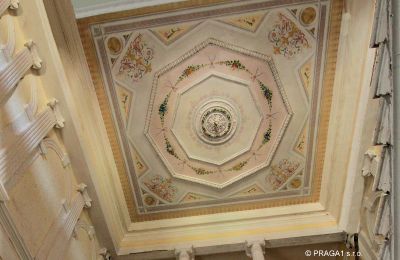 Castle for sale Karlovarský kraj:  Ceiling