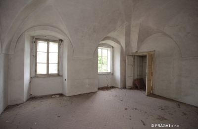 Castle for sale Karlovarský kraj, Image 7/16
