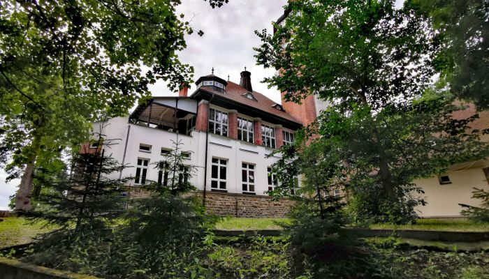 Historic Villa Karlovy Vary town 3