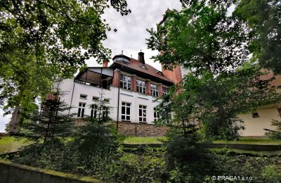 Historic Villa for sale Karlovarský kraj:  