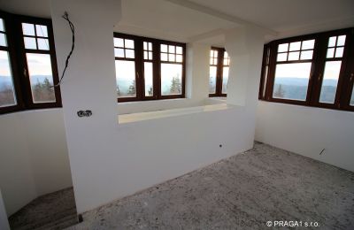 Historic Villa for sale Karlovarský kraj:  