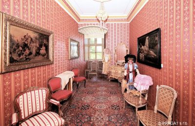 Castle for sale Olomoucký kraj, Image 7/14
