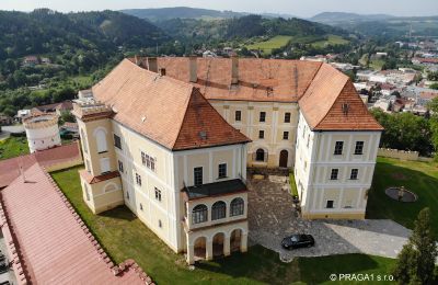 Castle for sale Olomoucký kraj:  Exterior View