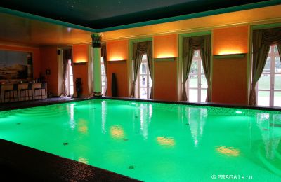Castle for sale Hlavní město Praha, Pool
