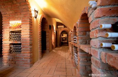 Castle for sale Hlavní město Praha, Wine cellar