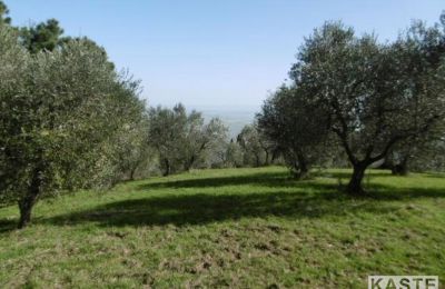 Country home for sale Rivalto, Tuscany, Image 8/15
