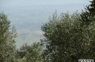 Country home for sale Rivalto, Tuscany, Image 10/15