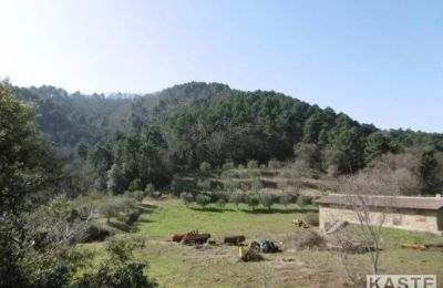 Country home for sale Rivalto, Tuscany, Image 12/15