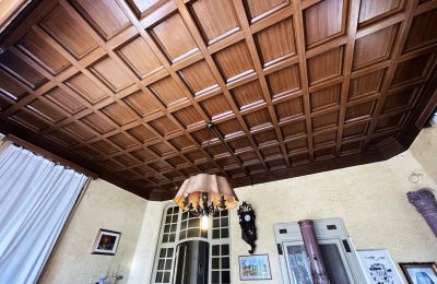 Historic Villa for sale 28823 Ghiffa, Corso Risorgimento, Piemont, Image 13/32