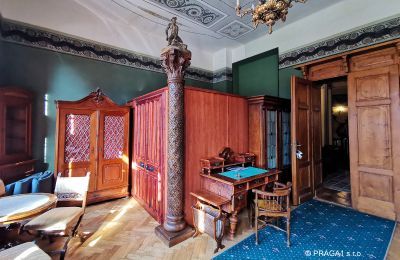 Castle for sale Jihočeský kraj, Image 16/21