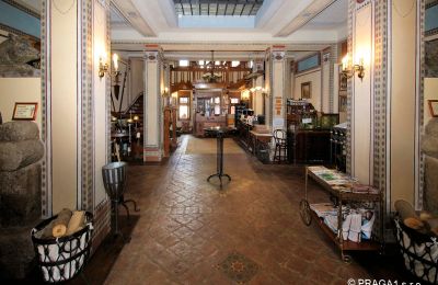 Castle for sale Jihočeský kraj, Entrance Hall