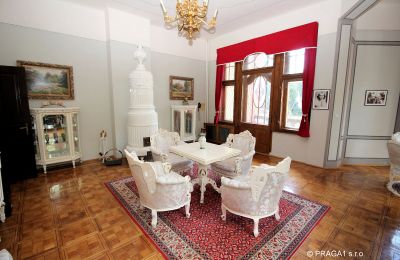 Castle for sale Jihočeský kraj, Image 6/21
