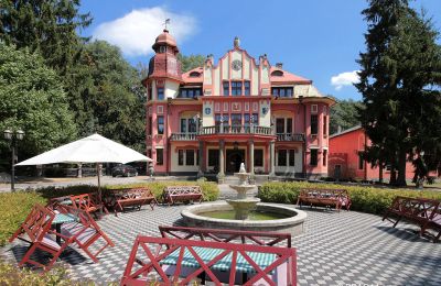Castle for sale Jihočeský kraj, Front view