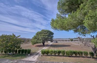 Country House for sale Francavilla Fontana, Apulia:  