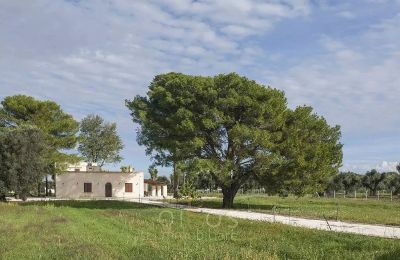 Country House for sale Francavilla Fontana, Apulia:  Exterior View