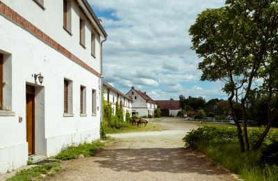 Castle for sale Samotwór, Lower Silesian Voivodeship:  