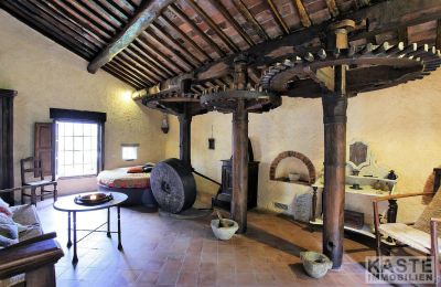 Mill for sale Camaiore, Tuscany, Image 3/12