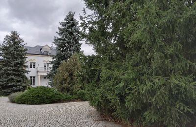 Manor House for sale Zarębów, Dwór w Zarębowie, Łódź Region, Image 19/22