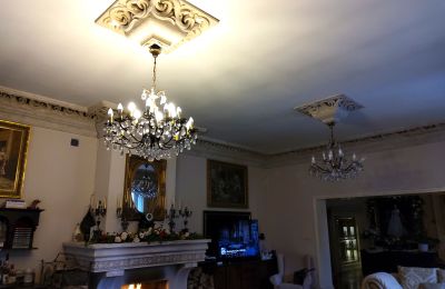Manor House for sale Zarębów, Dwór w Zarębowie, Łódź Region, Image 8/22