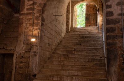 Castle for sale Baden-Württemberg, Treppe in Gewölbekeller