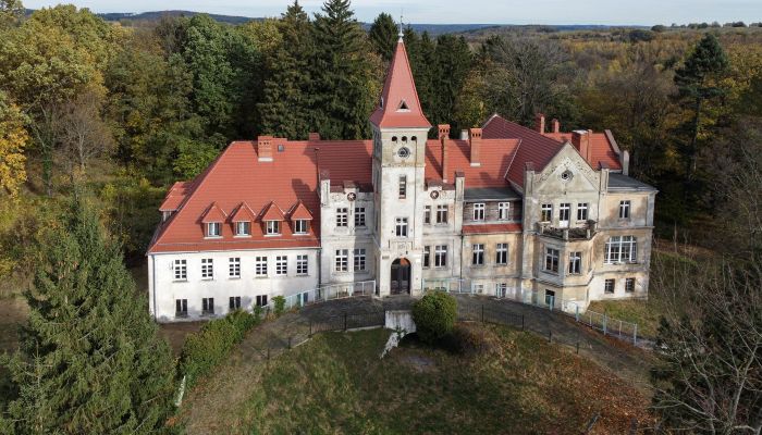 Castle for sale Grabiszyce Średnie, Lower Silesian Voivodeship,  Poland