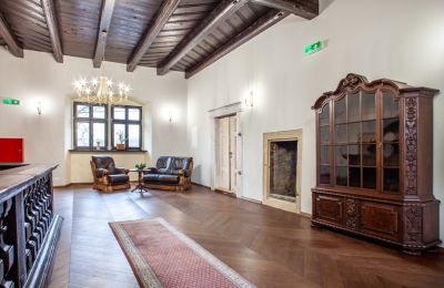 Manor House for sale Sędzisław, Dwór w Sędzisławiu, Lower Silesia, Image 10/29
