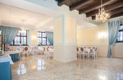 Manor House for sale Sędzisław, Dwór w Sędzisławiu, Lower Silesia, Ballroom