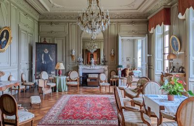 Castle for sale Redon, Brittany, Drawing room