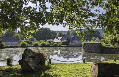 Castle for sale Le Mans, Pays de la Loire:  