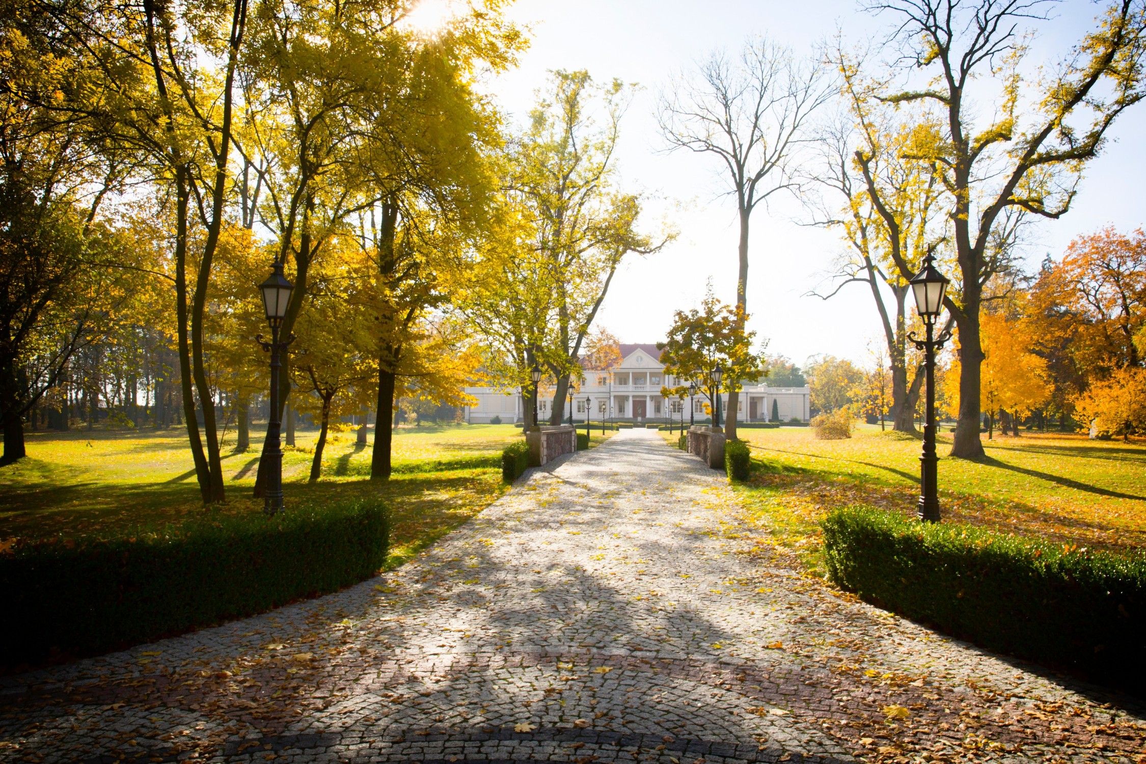 Zborów, Greater Poland for sale