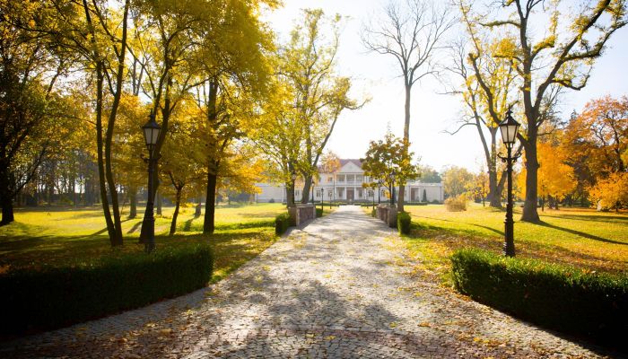 Manor House for sale Zborów, Greater Poland,  Poland