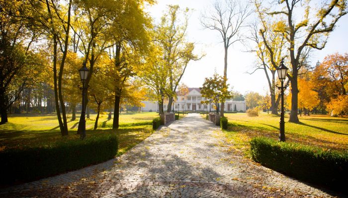 Manor House Zborów, Greater Poland Voivodeship