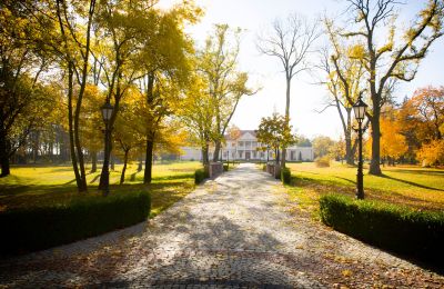 Character properties, Luxury manor with park in Zborów, Greater Poland